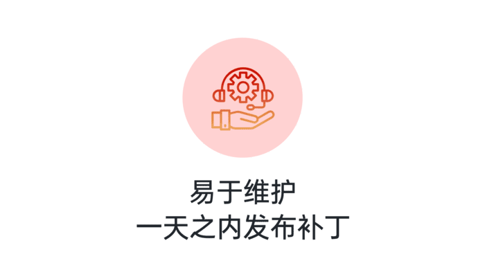 proc dev kit | 软硬件结合开发者套件 | 加速FPGA开发 | 友思特科技有限公司