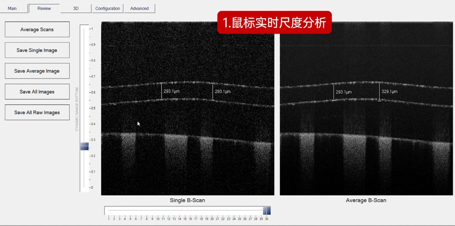 实时尺度分析：通过鼠标操作，可以在扫描图像上进行任意尺度的拉取刻线，实现精确的细节测量。这种功能使得用户能够快速准确地获取所需数据，极大提升了分析的灵活性。